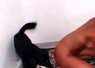Tanned bitch and her ionate animal