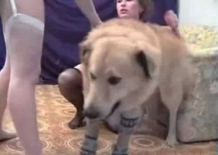 Slutty zoophile trained her lovely doggy