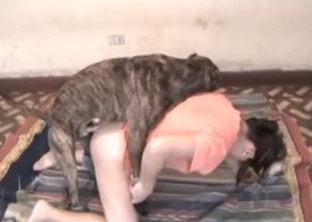 Cute hound knows how to bang my sexy wife